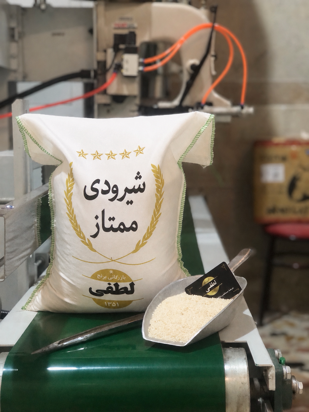 شیرودی ممتاز
